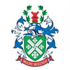 Millfield School_LOGO